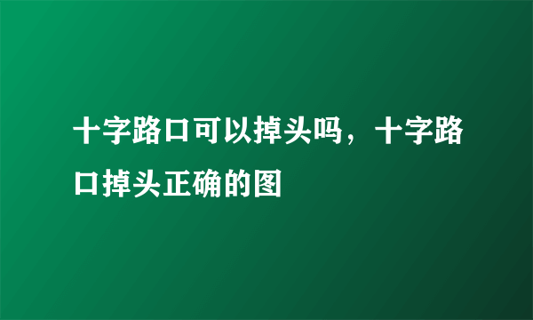 十字路口可以掉头吗，十字路口掉头正确的图