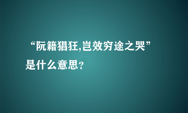 “阮籍猖狂,岂效穷途之哭”是什么意思？