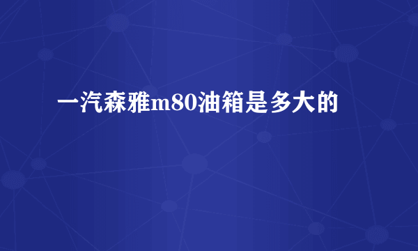 一汽森雅m80油箱是多大的