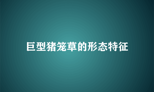 巨型猪笼草的形态特征