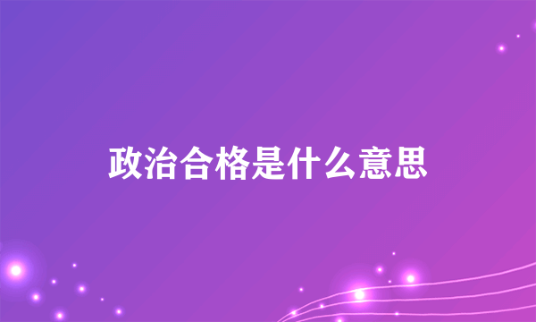 政治合格是什么意思