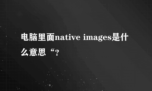 电脑里面native images是什么意思“？