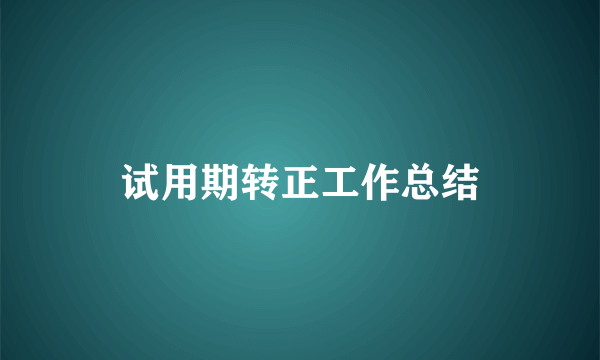 试用期转正工作总结