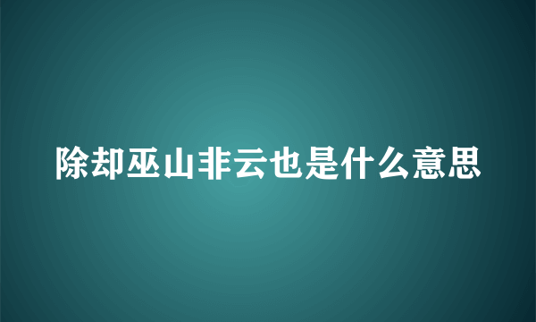 除却巫山非云也是什么意思