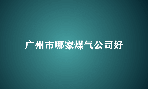 广州市哪家煤气公司好