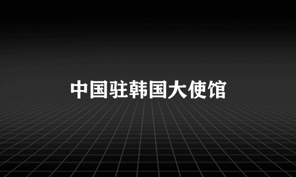 中国驻韩国大使馆