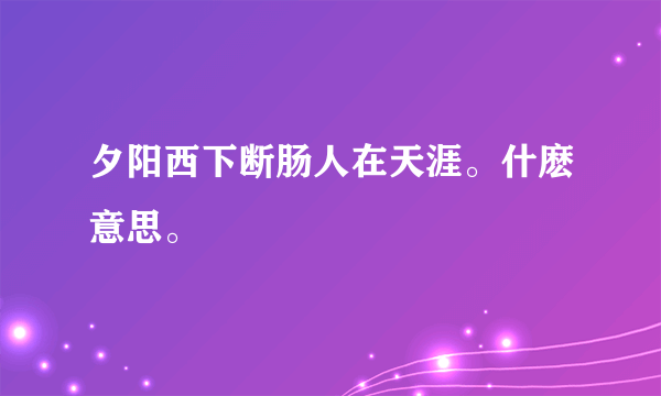 夕阳西下断肠人在天涯。什麽意思。