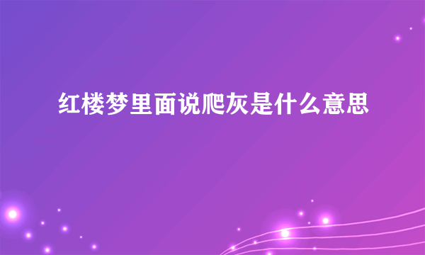 红楼梦里面说爬灰是什么意思