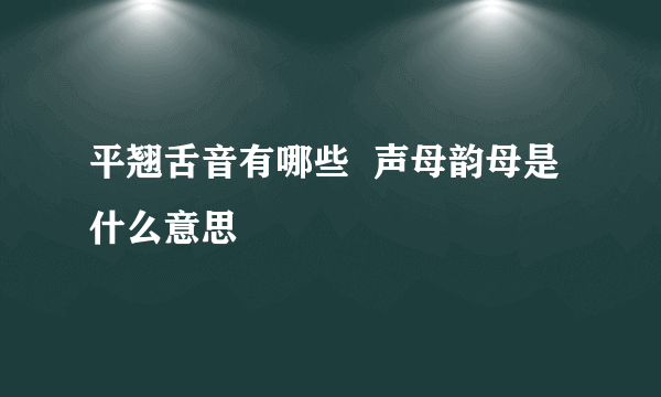 平翘舌音有哪些  声母韵母是什么意思