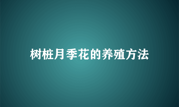 树桩月季花的养殖方法