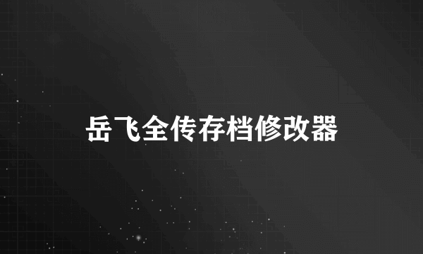 岳飞全传存档修改器