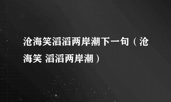 沧海笑滔滔两岸潮下一句（沧海笑 滔滔两岸潮）