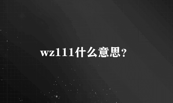 wz111什么意思？