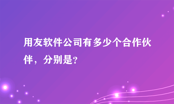 用友软件公司有多少个合作伙伴，分别是？