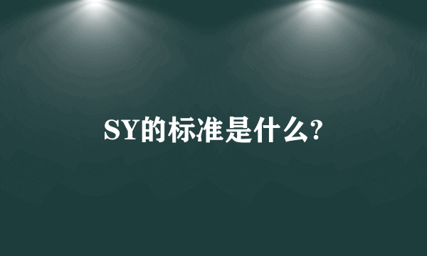 SY的标准是什么?