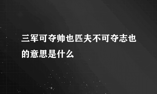 三军可夺帅也匹夫不可夺志也的意思是什么