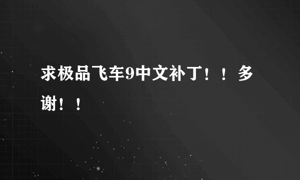 求极品飞车9中文补丁！！多谢！！