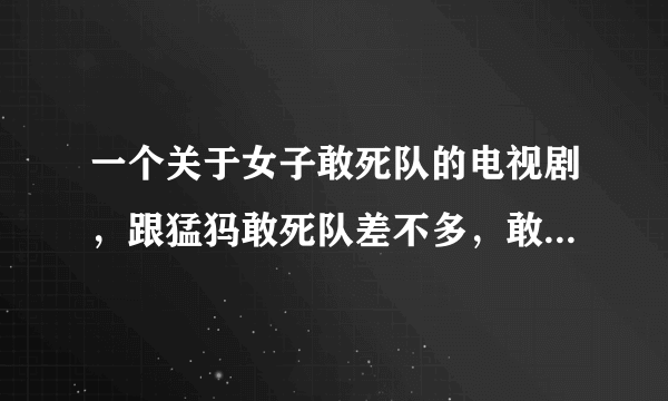 一个关于女子敢死队的电视剧，跟猛犸敢死队差不多，敢死队中有一个女的姓冷，