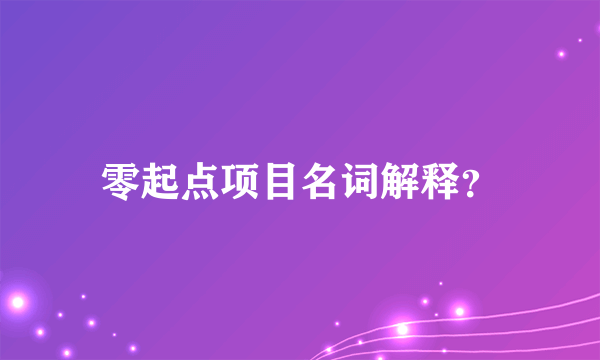 零起点项目名词解释？