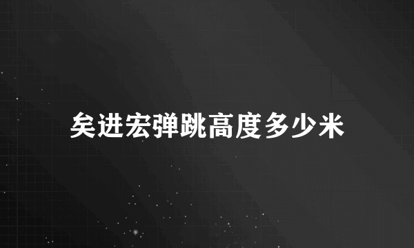 矣进宏弹跳高度多少米