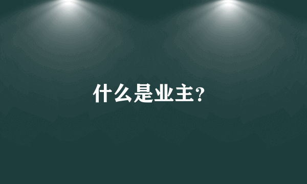 什么是业主？