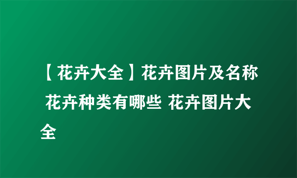 【花卉大全】花卉图片及名称 花卉种类有哪些 花卉图片大全