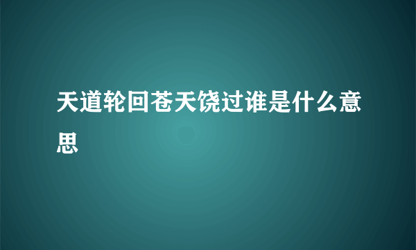 天道轮回苍天饶过谁是什么意思