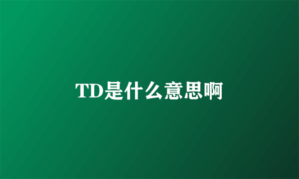 TD是什么意思啊