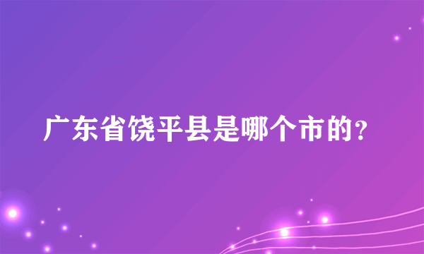 广东省饶平县是哪个市的？