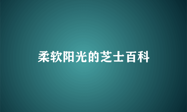 柔软阳光的芝士百科