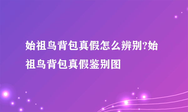 始祖鸟背包真假怎么辨别?始祖鸟背包真假鉴别图