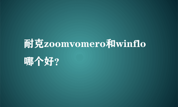 耐克zoomvomero和winflo哪个好？