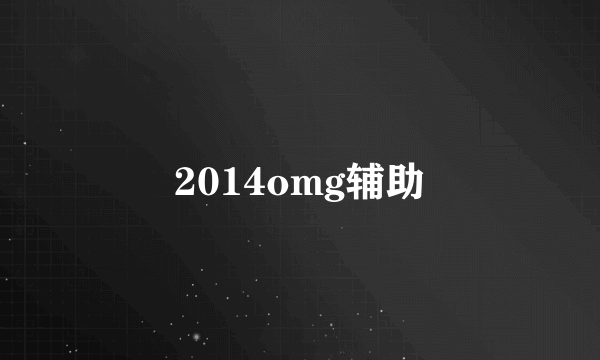 2014omg辅助