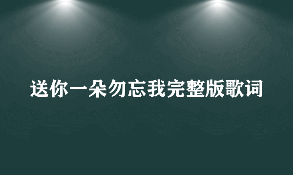 送你一朵勿忘我完整版歌词