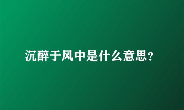 沉醉于风中是什么意思？