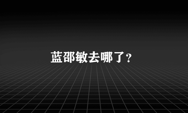 蓝邵敏去哪了？