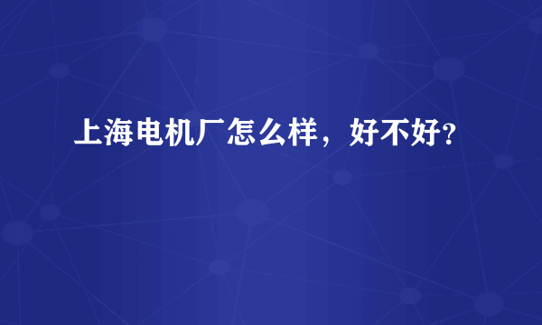 上海电机厂怎么样，好不好？