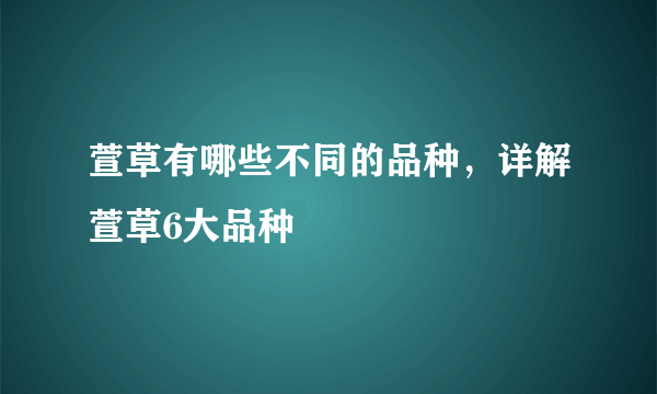 萱草有哪些不同的品种，详解萱草6大品种