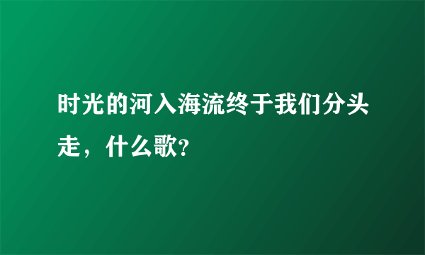 时光的河入海流终于我们分头走，什么歌？