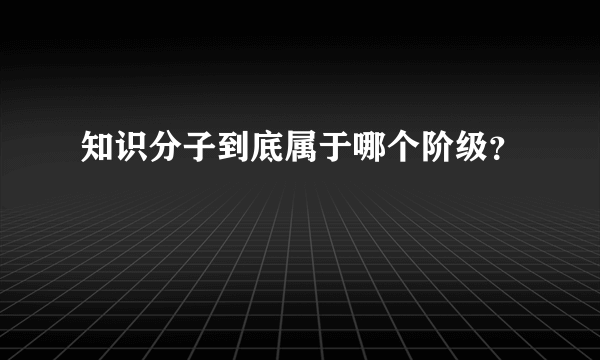 知识分子到底属于哪个阶级？