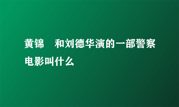 黄锦燊和刘德华演的一部警察电影叫什么