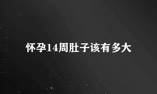 怀孕14周肚子该有多大