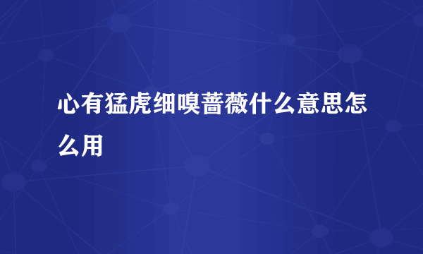 心有猛虎细嗅蔷薇什么意思怎么用