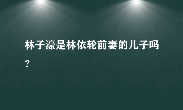 林子濠是林依轮前妻的儿子吗？