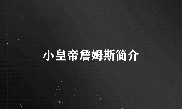 小皇帝詹姆斯简介