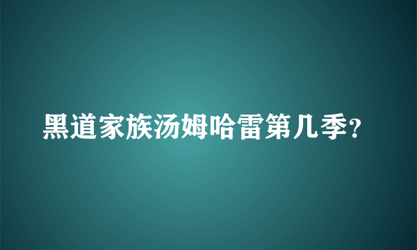 黑道家族汤姆哈雷第几季？