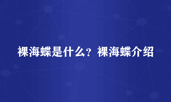 裸海蝶是什么？裸海蝶介绍