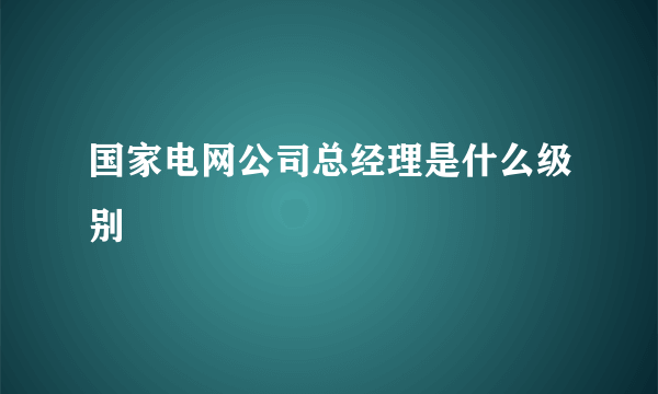 国家电网公司总经理是什么级别