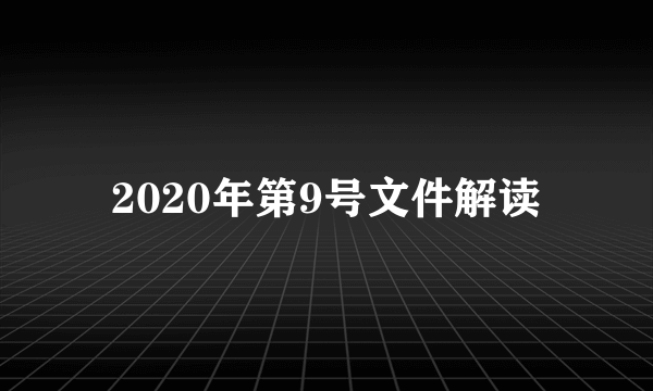 2020年第9号文件解读