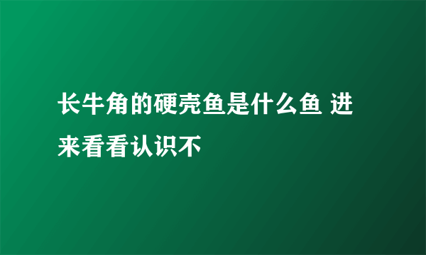 长牛角的硬壳鱼是什么鱼 进来看看认识不